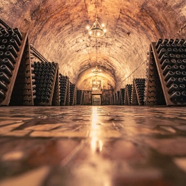 Visite d'une cuverie et dégustation : Champagne AUBRY - 11h