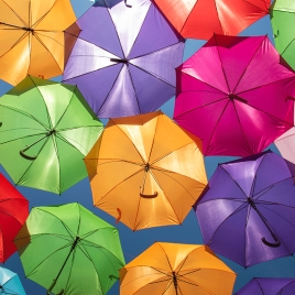 Journée près de chez vous "Parapluies"