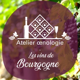 Atelier œnologie - Les vins de Bourgogne