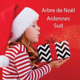 ARBRE DE NOEL 2024 SLVIE1