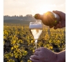 MARNE JOURNEE AU COEUR DE LA CHAMPAGNE