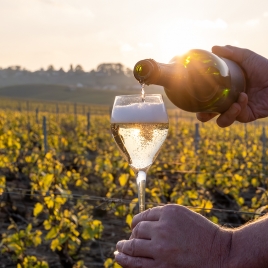 MARNE JOURNEE AU COEUR DE LA CHAMPAGNE