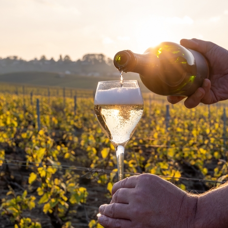 MARNE JOURNEE AU COEUR DE LA CHAMPAGNE