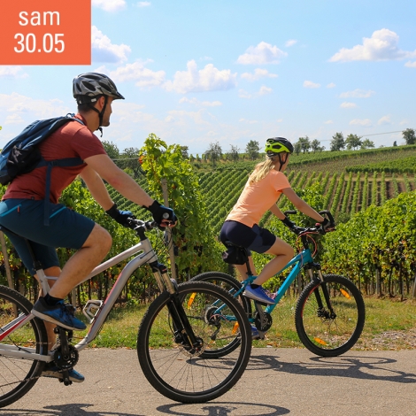 SLVies AUBE Balade VTT dans les vignes