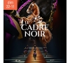 SLV MARNE SPECTACLE "Le Cadre Noir de Saumur" ARENA DE REIMS