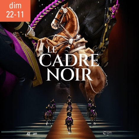 SLV MARNE SPECTACLE "Le Cadre Noir de Saumur" ARENA DE REIMS